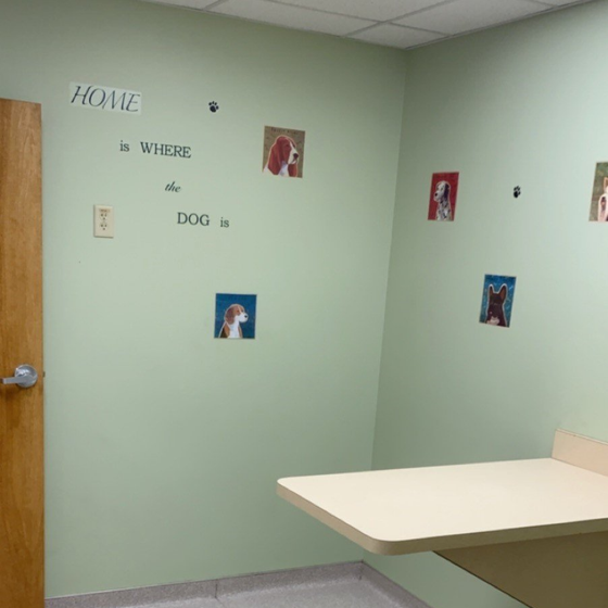 Patient room in Covedale Pet Hospital