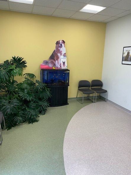 A small animal at a vet clinic in Price Hill, OH