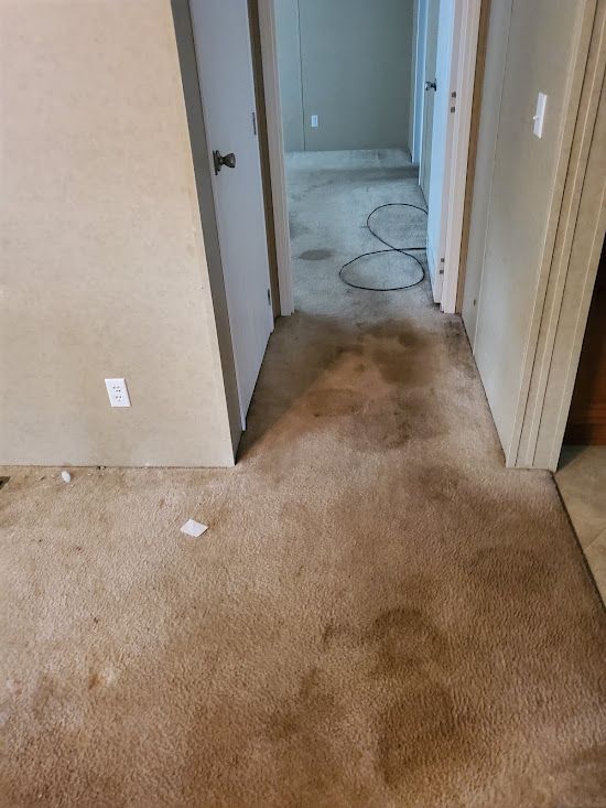 A dirty carpet in a hallway in a house.