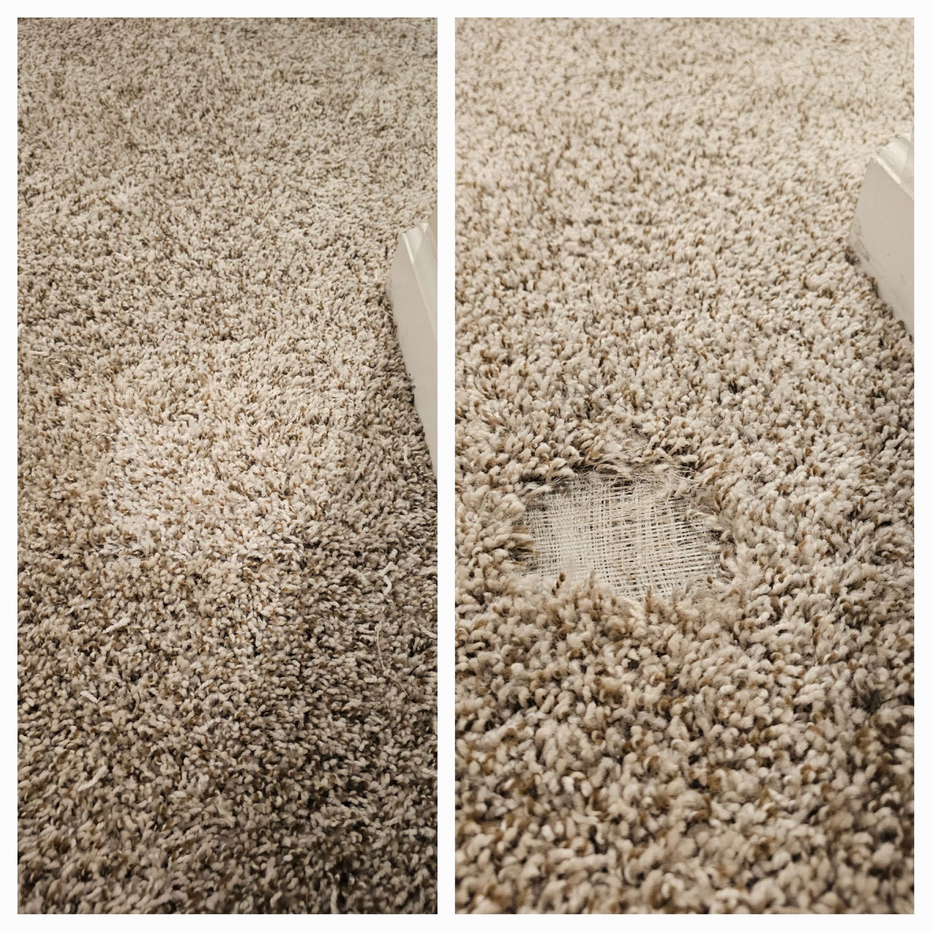 Before and after of a beige carpet; the 