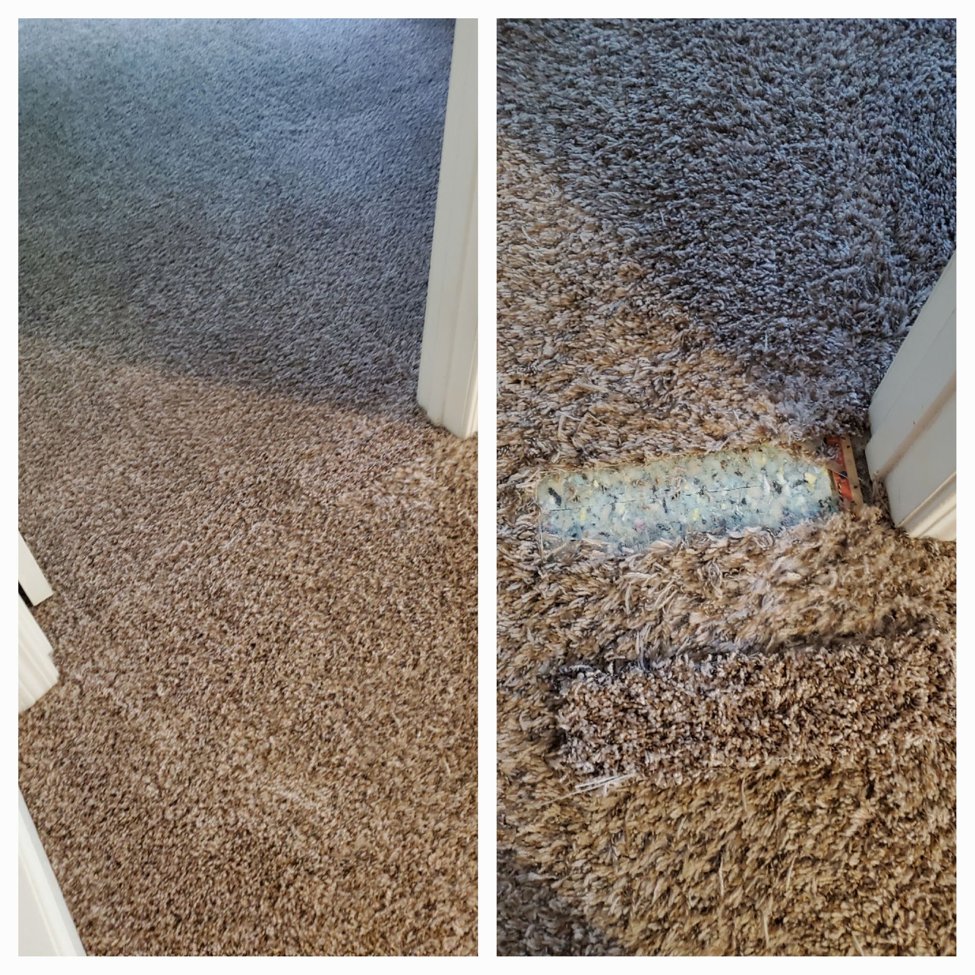 Two carpeted areas, one clean, the other stained, meeting at a doorway.