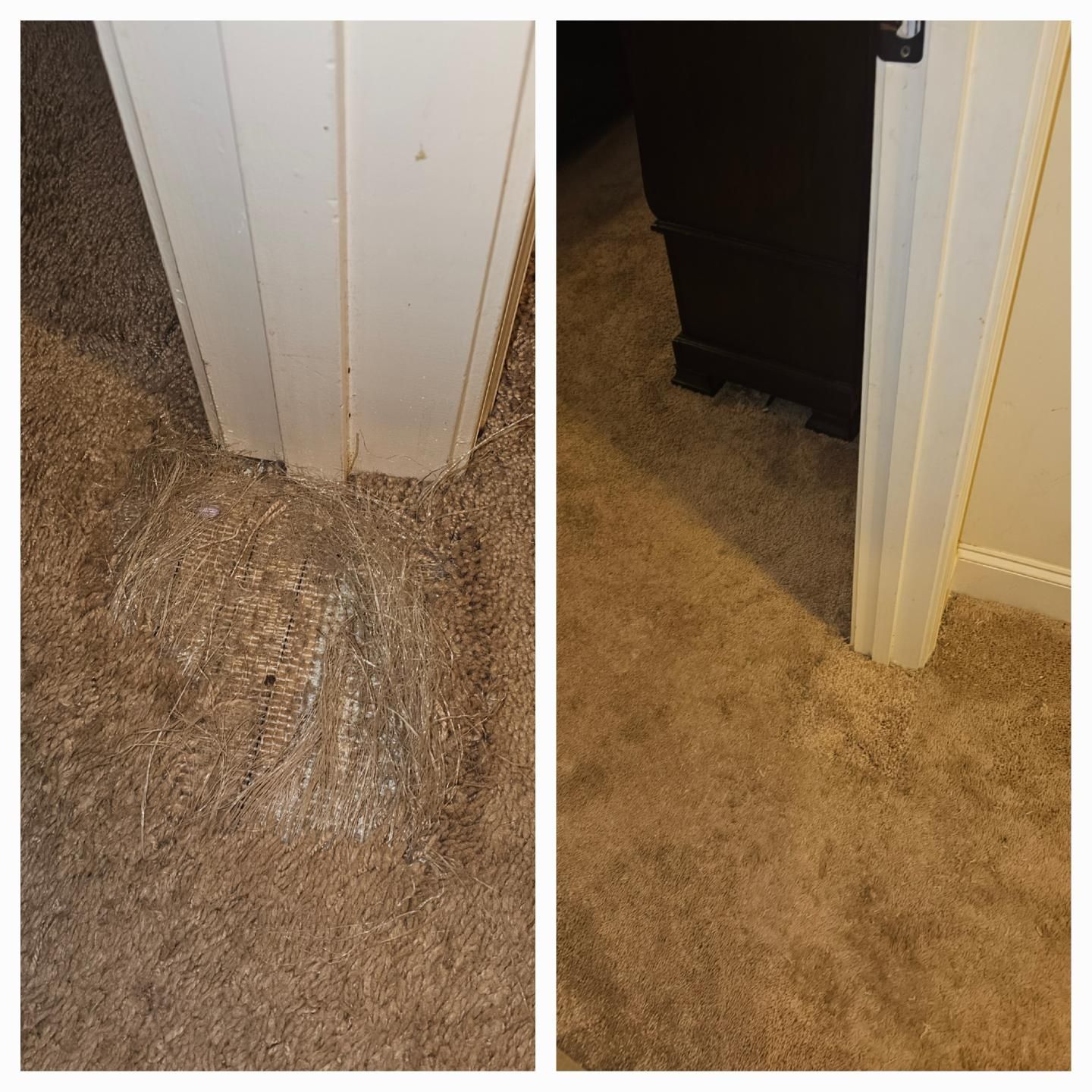 Before-and-after of carpet damage at door frame, now cleaned and restored, tan carpet, white frame, brown furniture.