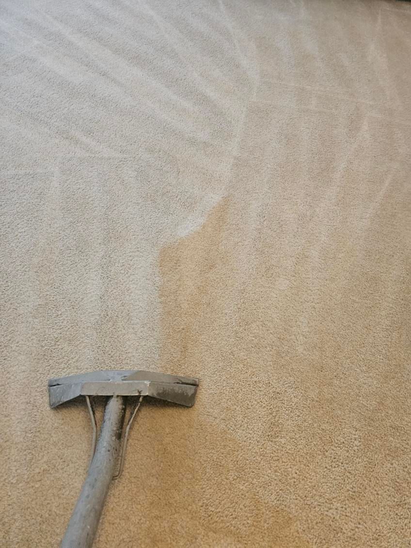 Carpet being cleaned by a machine, showing a marked difference between cleaned and uncleaned areas.