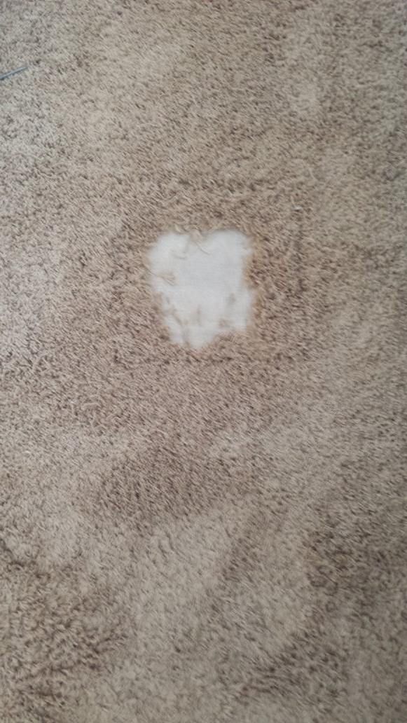 There is a white spot on the carpet that looks like a heart.