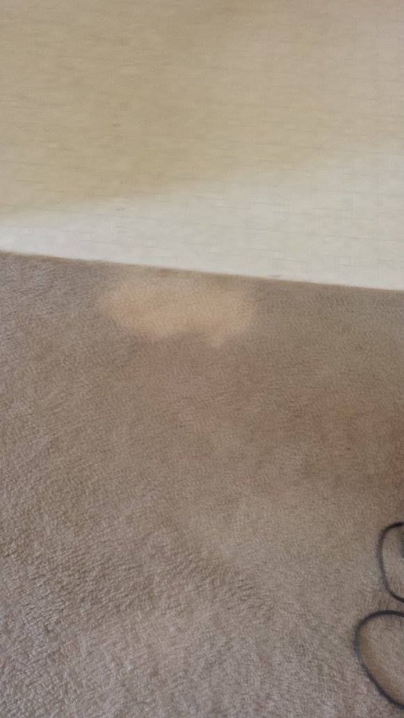 A close up of a carpeted floor with a stain on it.