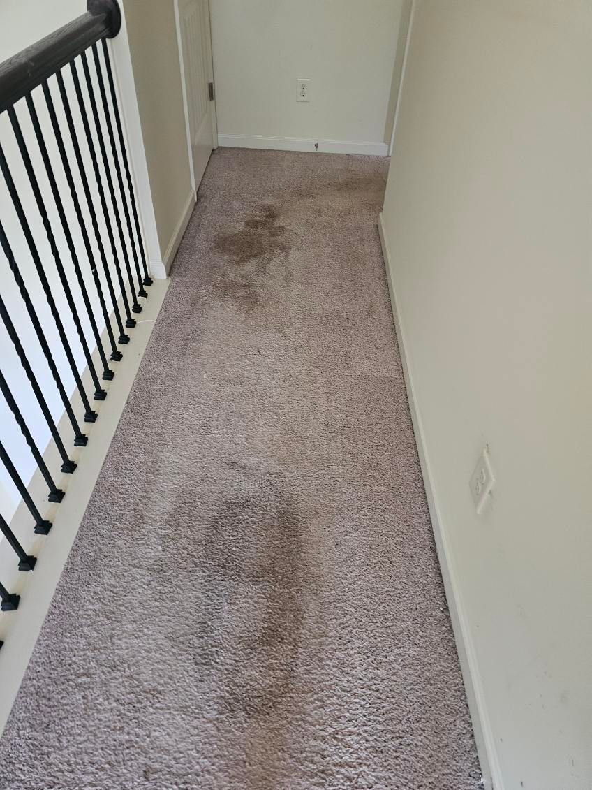 Narrow hallway with stained, tan carpet. Black railing on left, off-white walls, and an electrical outlet on the right.