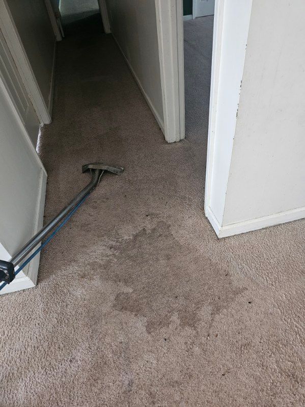 Hallway with dirty carpet, cleaning tool on floor, doorways on sides.