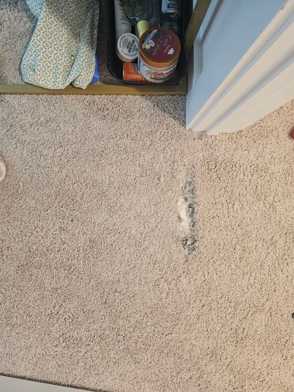 Beige carpet with a tear, near a shelf and a white door frame.