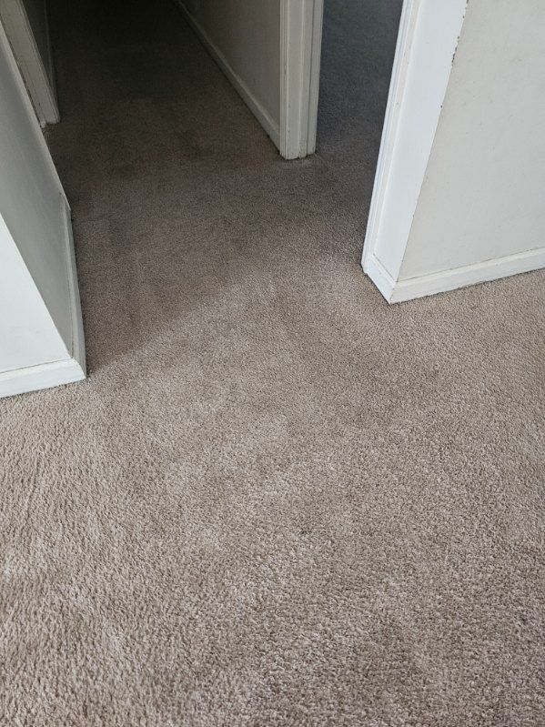 Hallway with beige carpet, doors, and white trim.