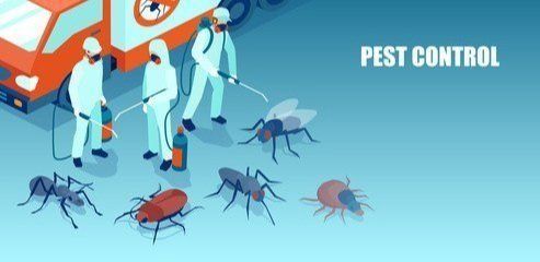 A group of people in protective suits are spraying insects in front of a truck. used for our Pest control seo page