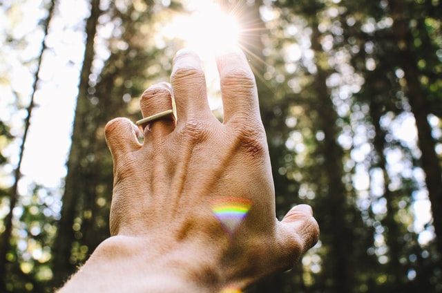 Hand reaching toward sunlight through trees in Lakewood, CA, symbolizing healing and remembrance, funeral homes use imagery like this to represent comfort and hope during memorial services.