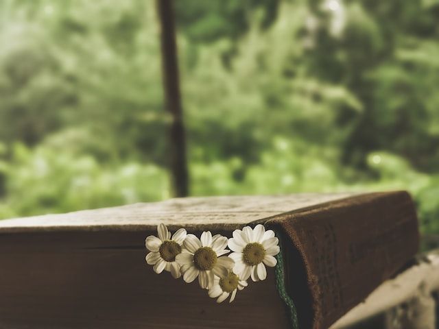 Wooden casket adorned with white flowers in a natural setting in Los Alamitos, CA