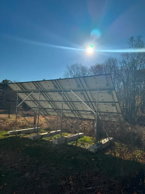A row of solar panels sitting on top of a lush green field.