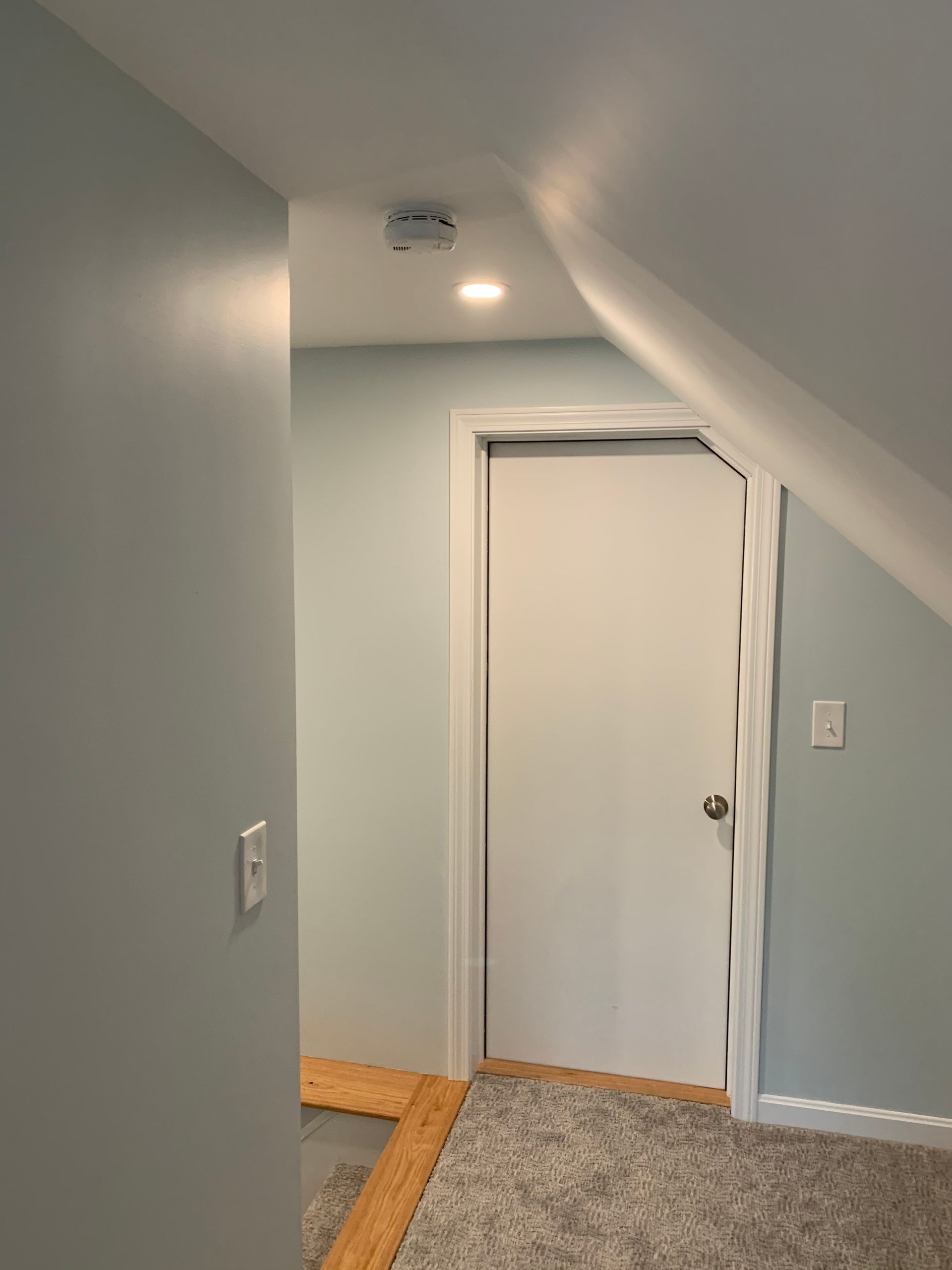 A hallway with a white door and a wooden floor.