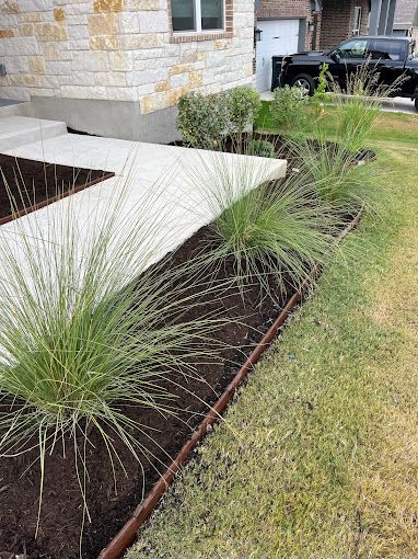 A row of plants growing in a garden next to a house.