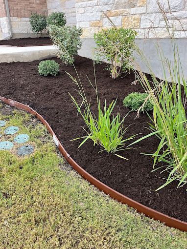A garden with a metal edging and plants in it.