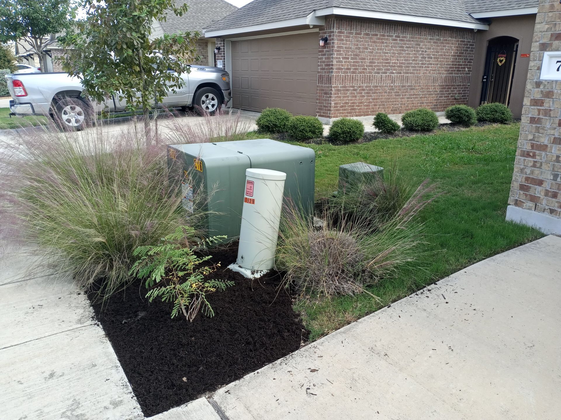 Front yard landscaping with utility box, brown mulch, green grass, and small evergreen shrubs, beside a sidewalk.