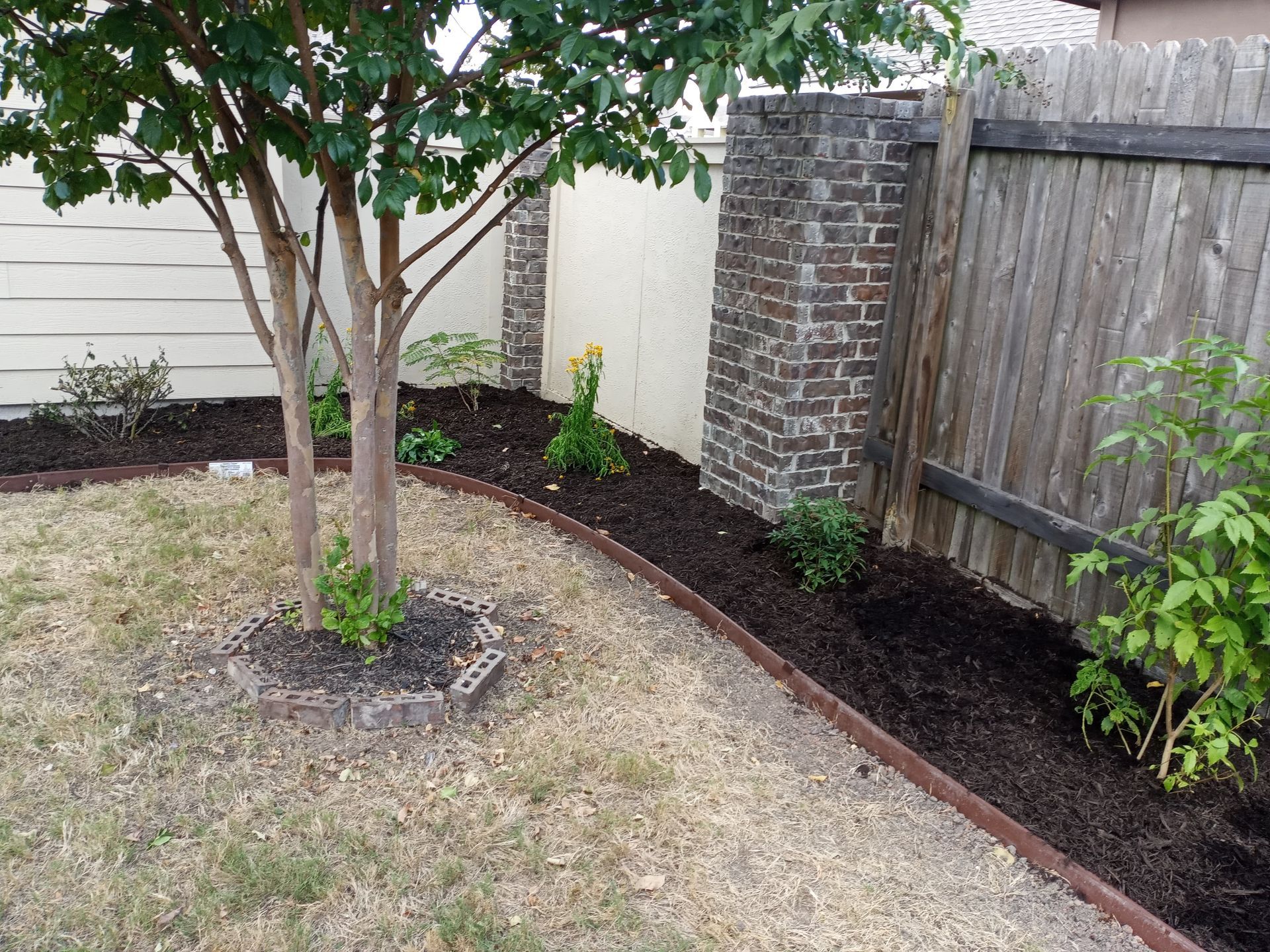 A backyard with a tree surrounded by mulch, bordered by a brick wall and wooden fence.