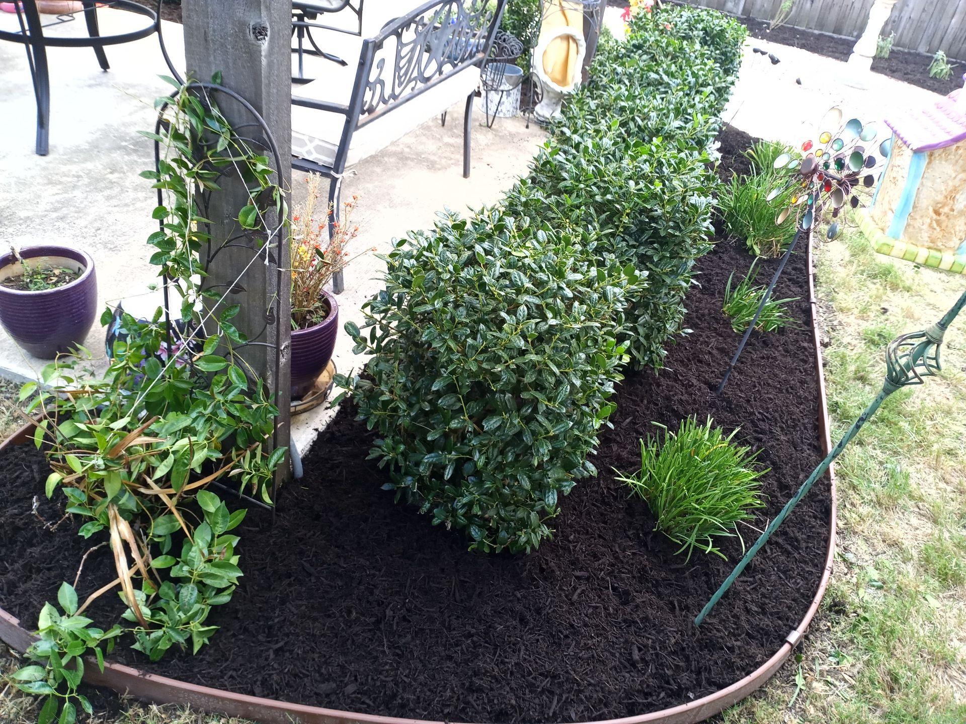 A garden bed with dark mulch and trimmed green bushes. A bench and patio are in the background.