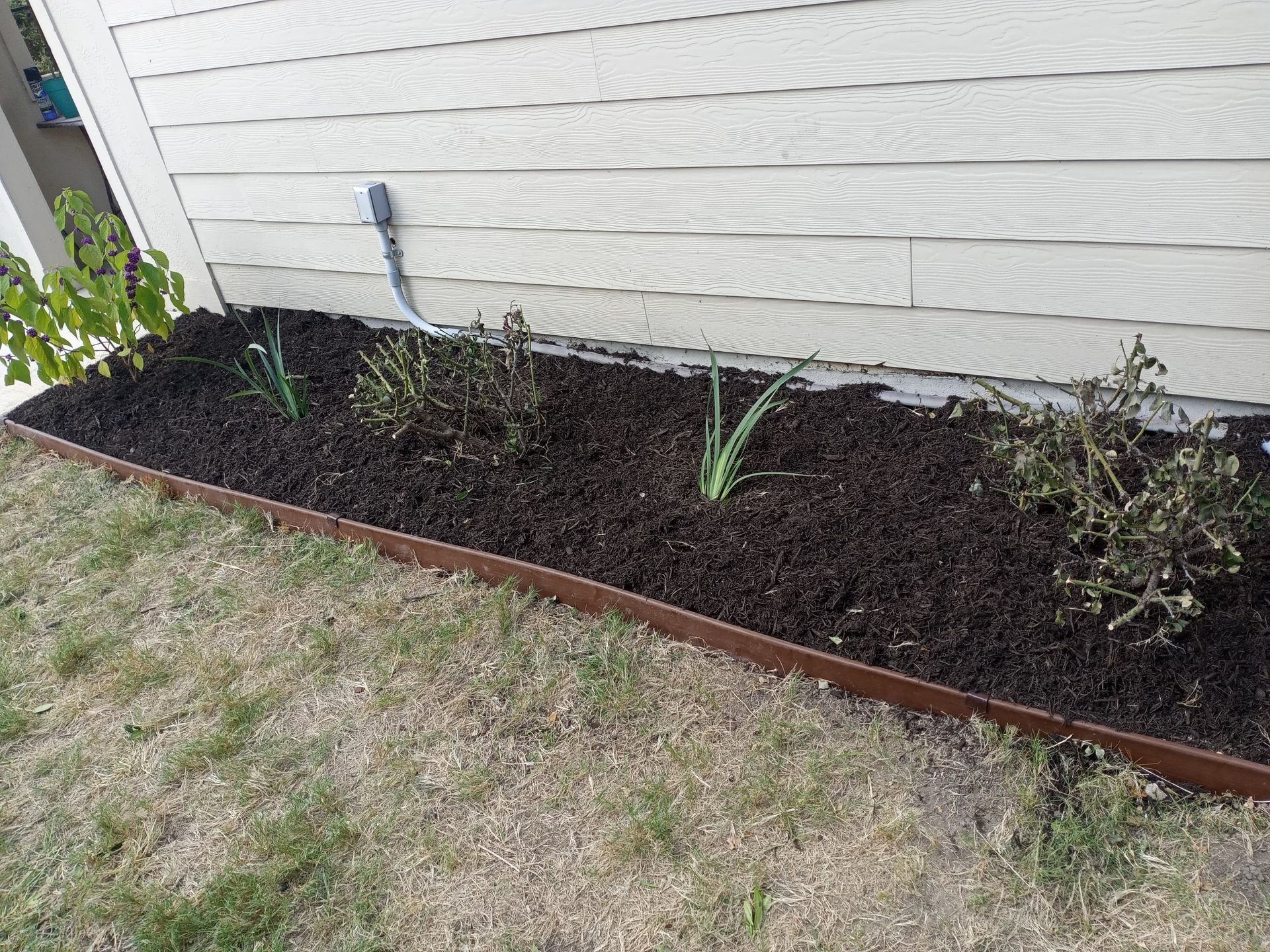 Brown mulch garden bed with metal edging, next to a beige house, with grass in the foreground.