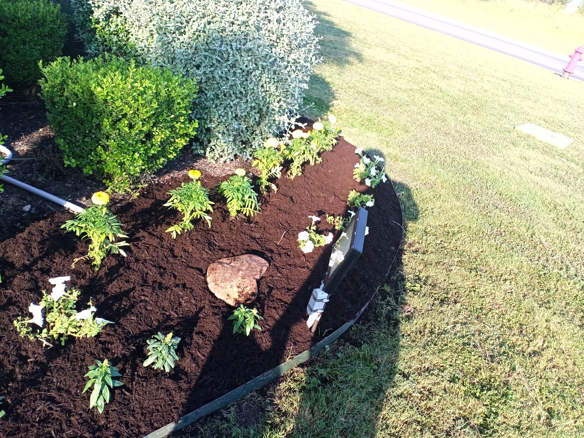 Flower bed with fresh mulch, green plants, and lawn.
