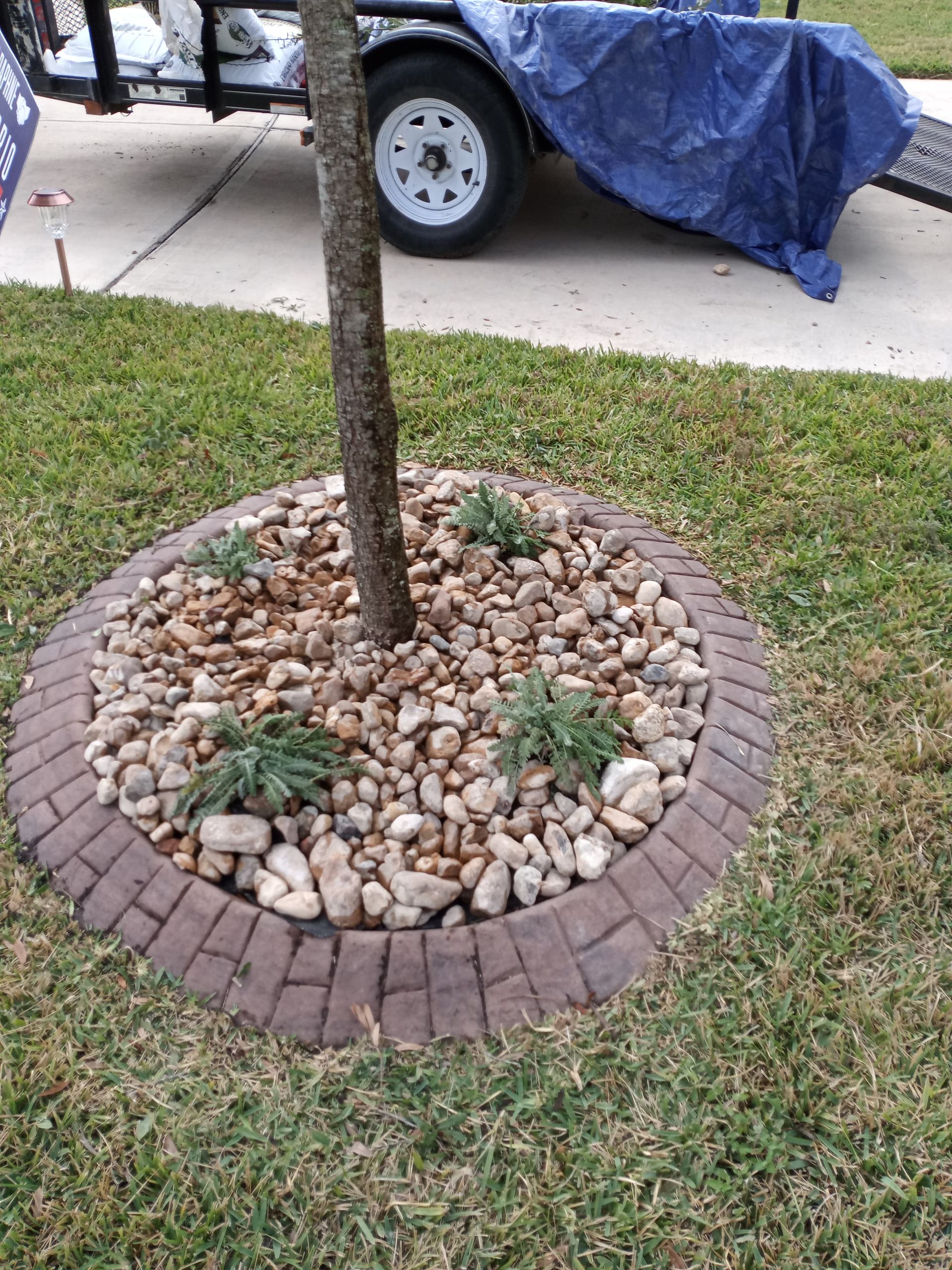 Tree surrounded by stone and brick border in grass lawn, with a trailer in the background.
