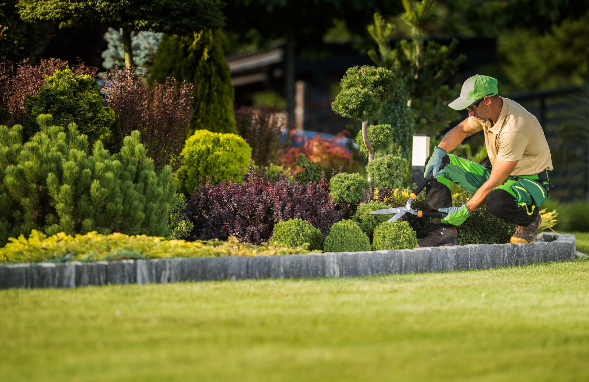 A man is kneeling down in a garden cutting a bush with a pair of scissors.