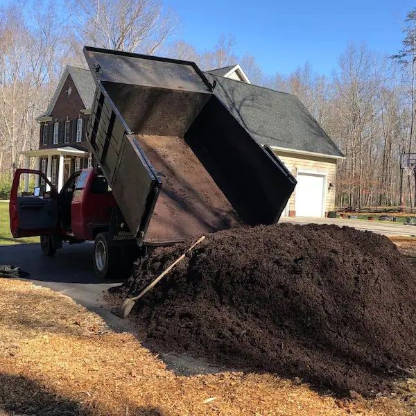A dump truck is dumping a pile of mulch in front of a house.
