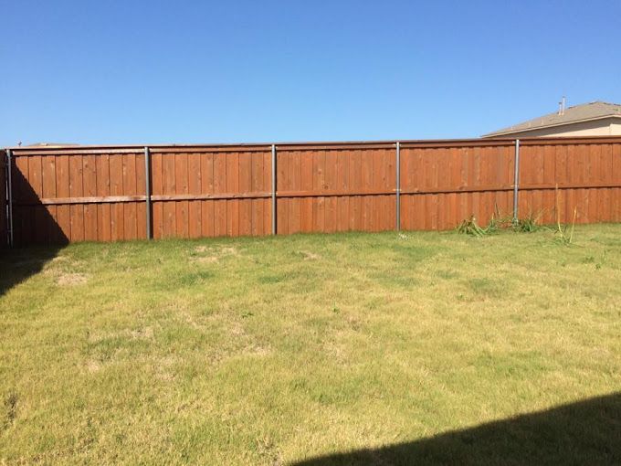 A wooden fence surrounds a lush green lawn in a backyard.