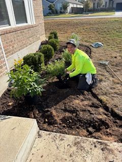 Person planting shrubs in a flowerbed near a house. They wear a neon green shirt.