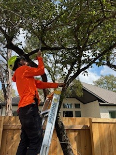 A man is riding a lawn mower on a lush green lawn.