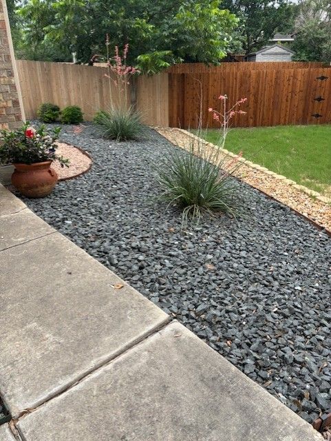 There is a fence in the background and a gravel path in the foreground.