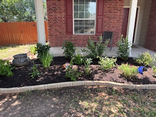 Front yard flower bed with various green plants, red brick house, and dark mulch.