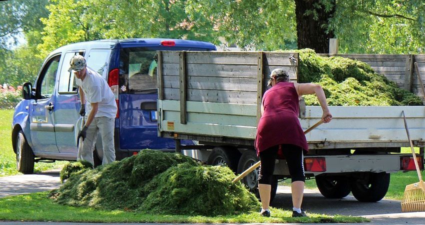A man and a woman are loading grass into a truck.
