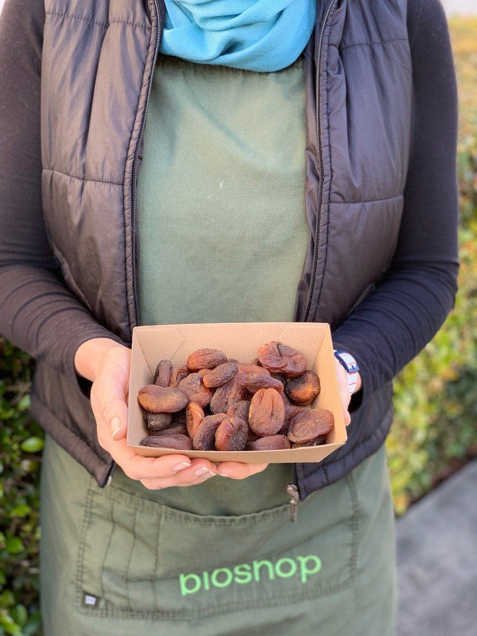 Why are my dried Apricots Brown?