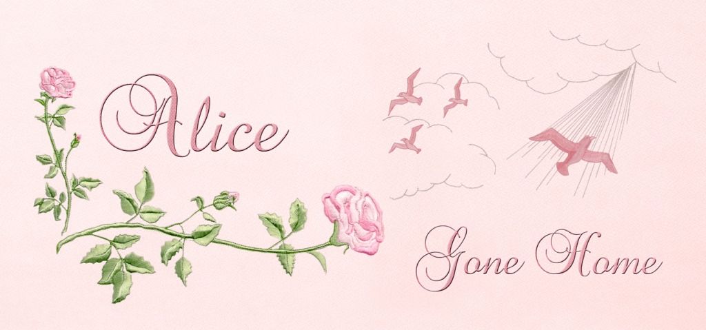 Custom Proof options for families