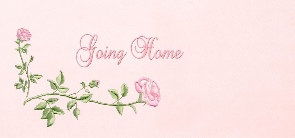 Custom Proof options for families