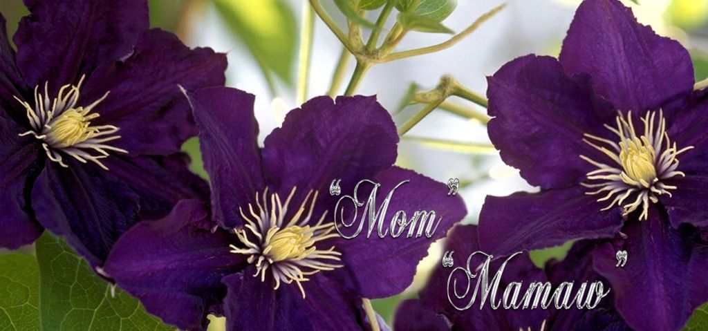 Custom Proof options for families