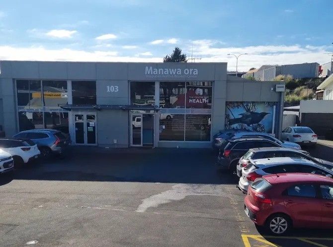 Manawaora Integrated Health & Research