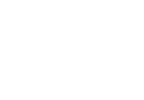 Logo: blue window with curtain, squeegee, and text