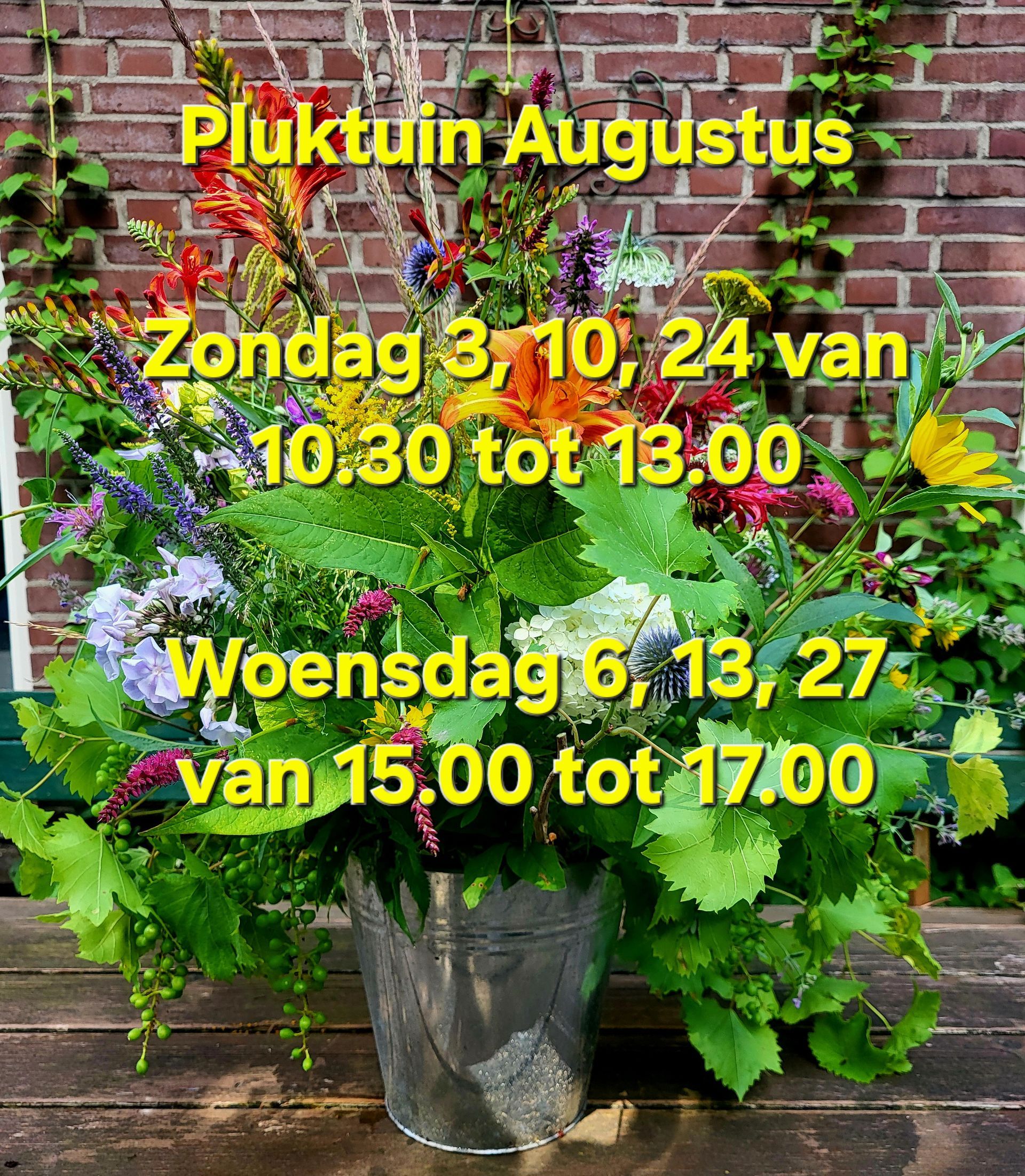 Openingstijden Augustus