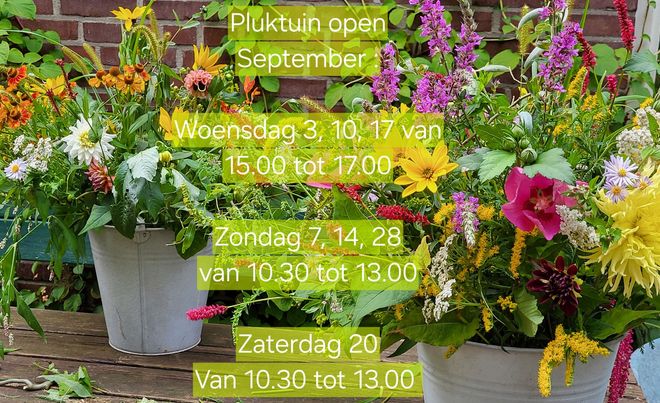 Openingstijden Augustus