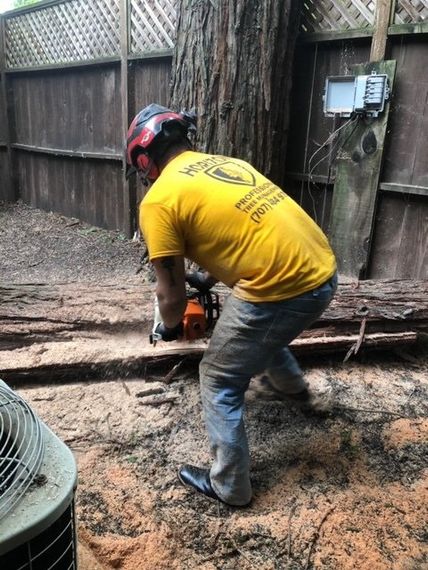 Man Working — Santa Rosa, CA — Horizon Professional Tree Management
