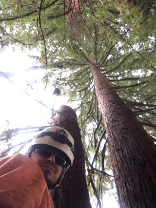 Worker Wearing Orange Shirt — Santa Rosa, CA — Horizon Professional Tree Management