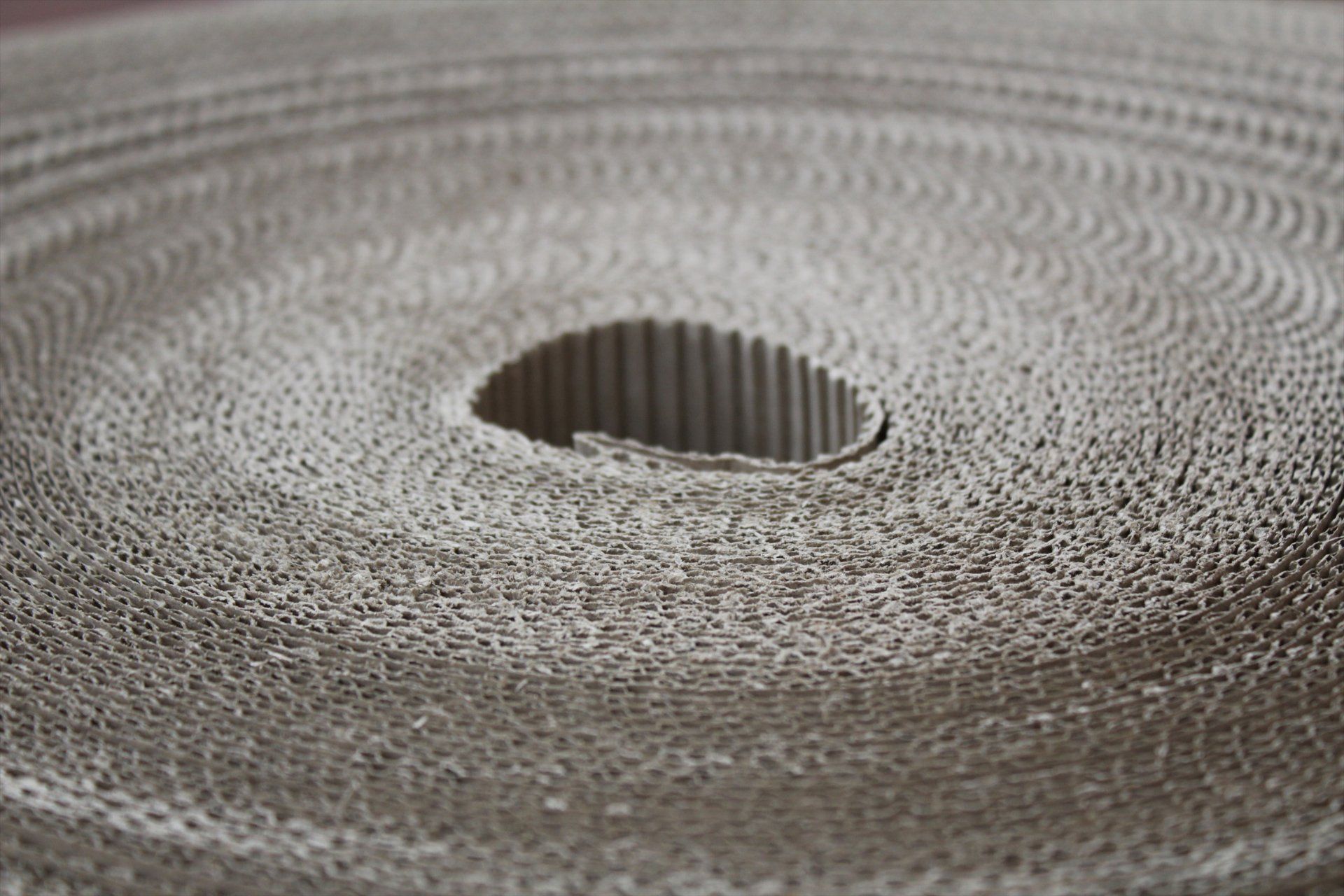 rotolo di cartone fustellato