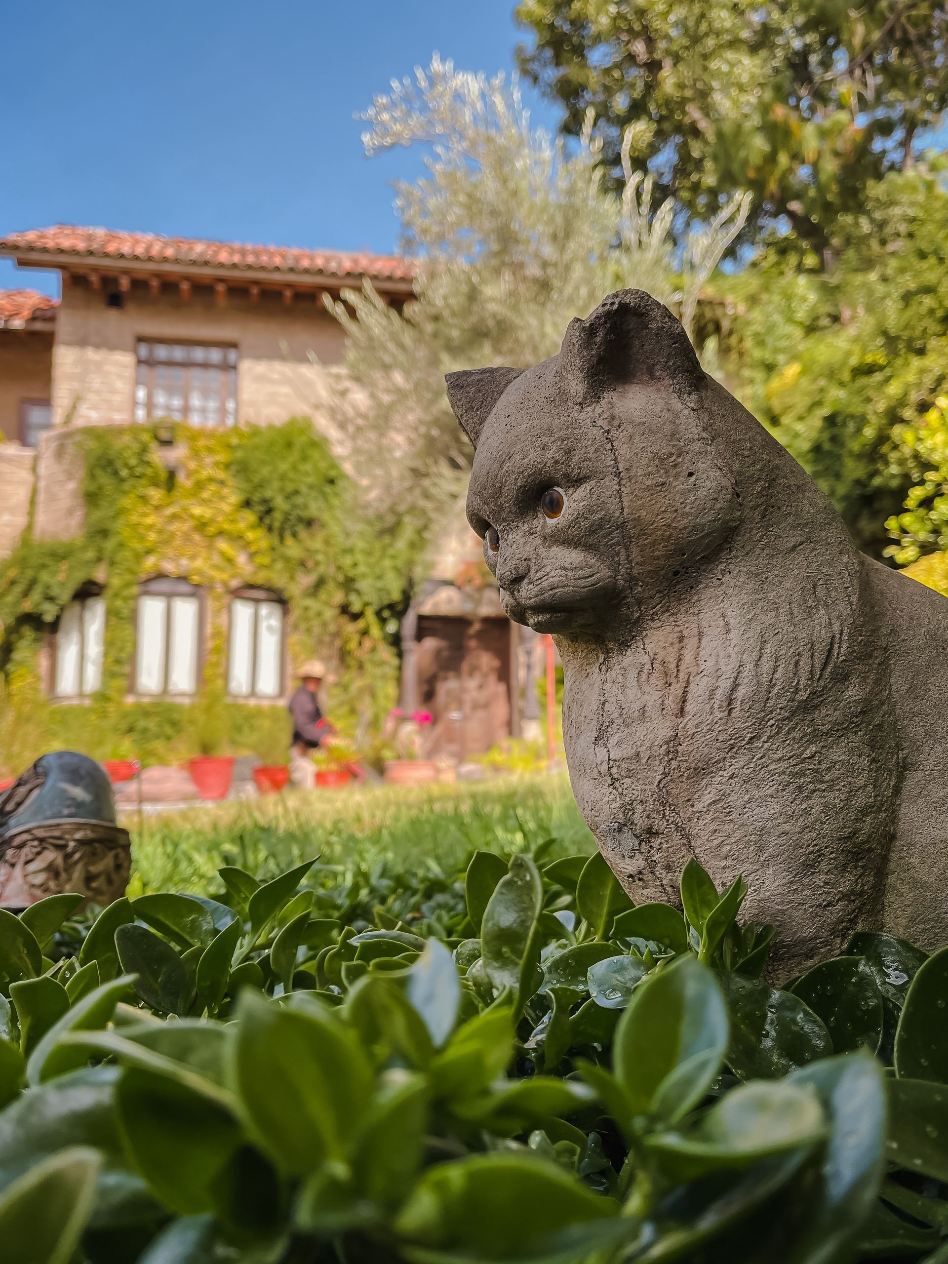 Estatua de gato de piedra en un jardín con una casa cubierta de hiedra al fondo.
