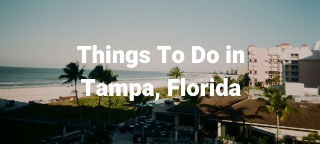 things to do in tampa florida