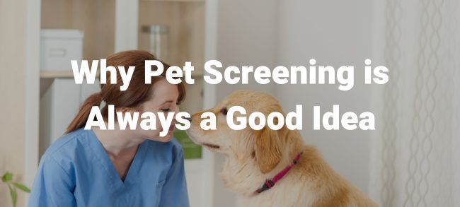 carrying out pet screenings