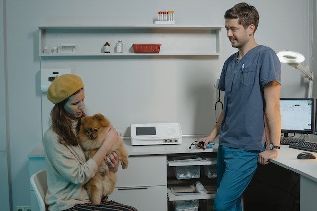 a pet owner holding their dog and speaking with a veterinarian in blue scrubs