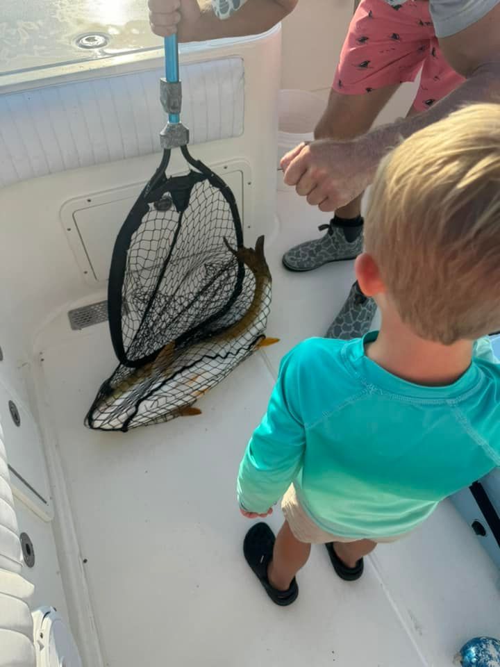 A little boy looking at a fish in a net on a boat